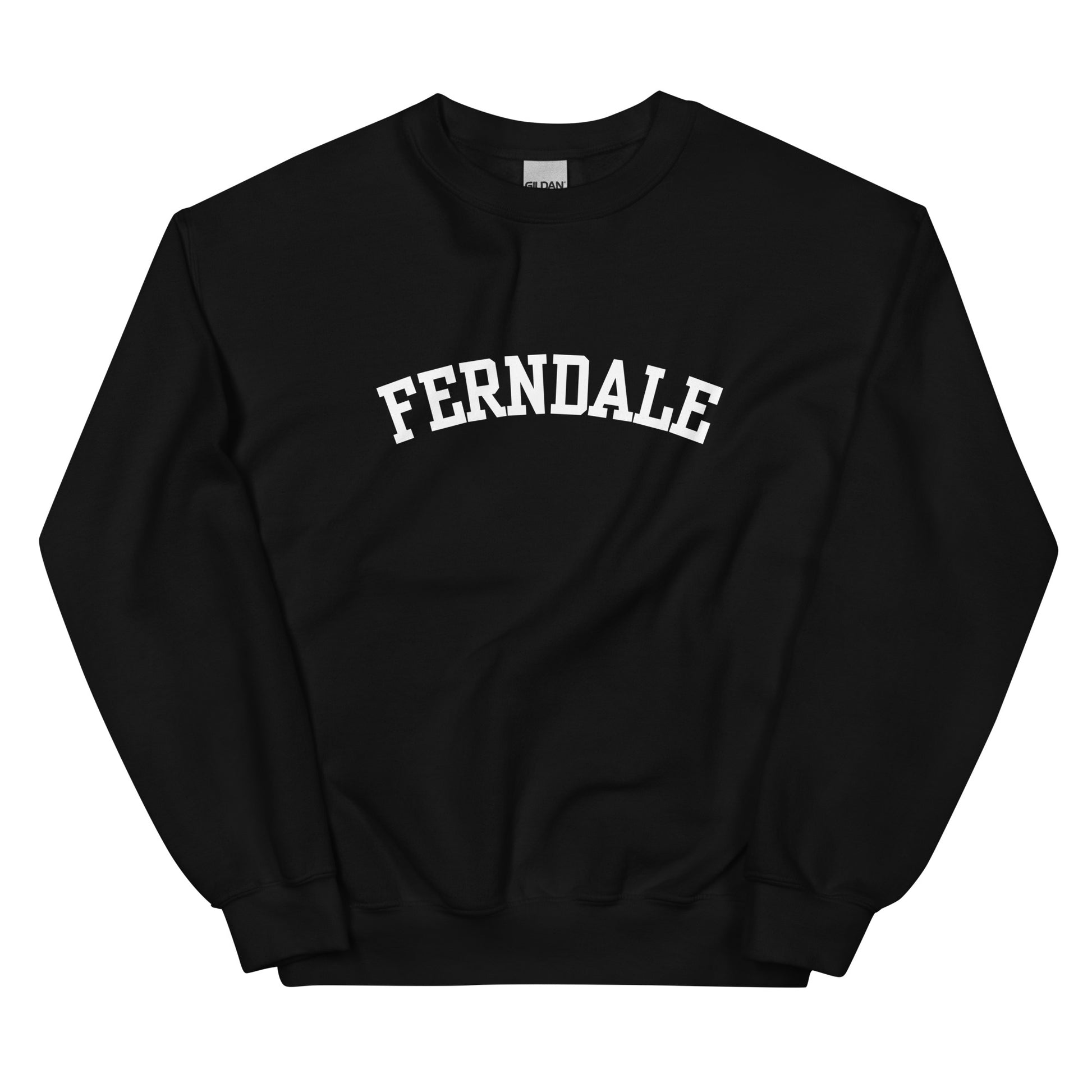 Ferndale, Michigan Block Solo Unisex Sweatshirt