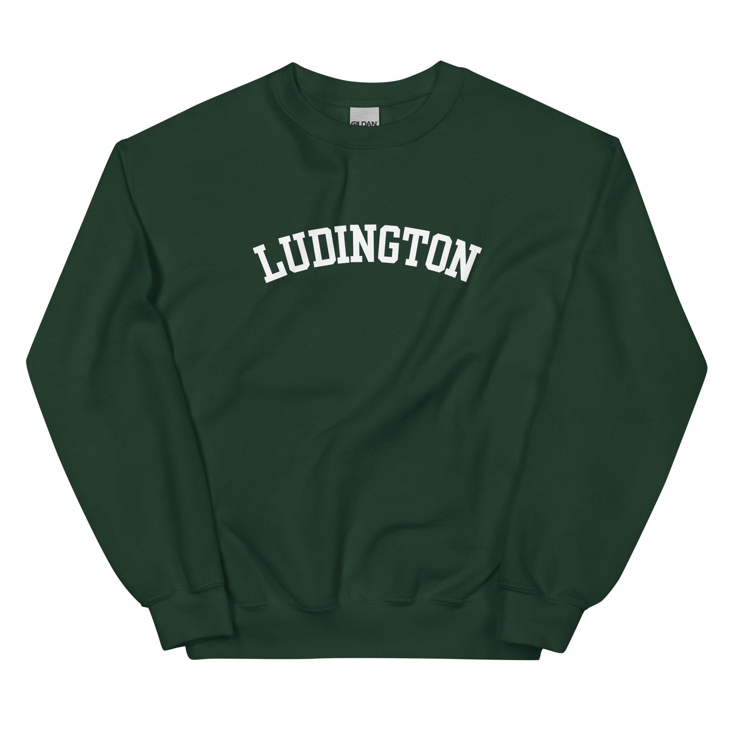 Ludington, Michigan - Block Solo Crewneck Unisex Sweatshirt
