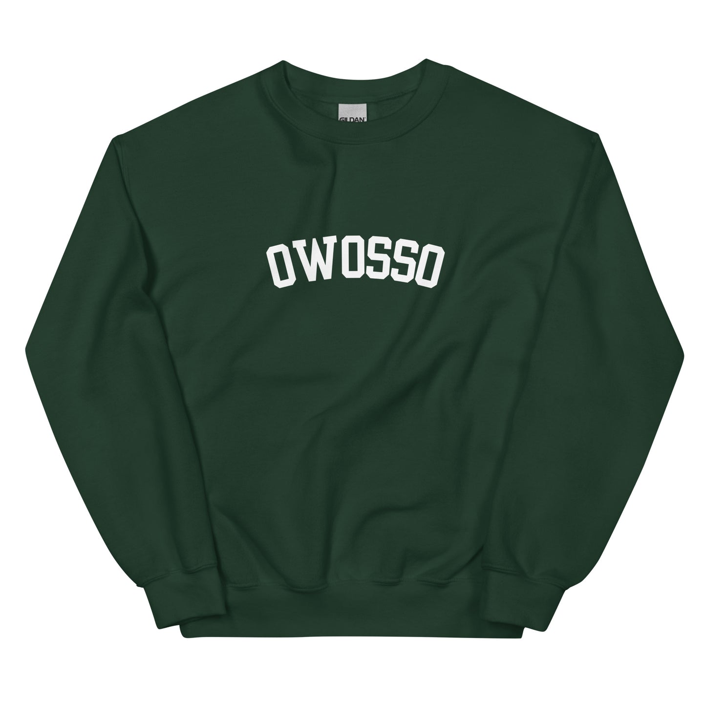 Owosso, Michigan Block Solo Unisex Sweatshirt