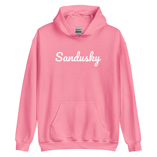 Sandusky Ohio Solo Script Unisex Hoodie