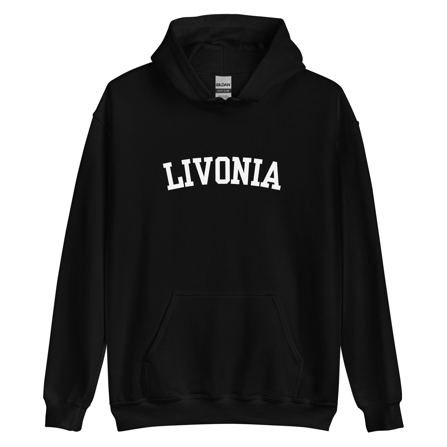 Livonia Michigan Block 2 Unisex Hoodie