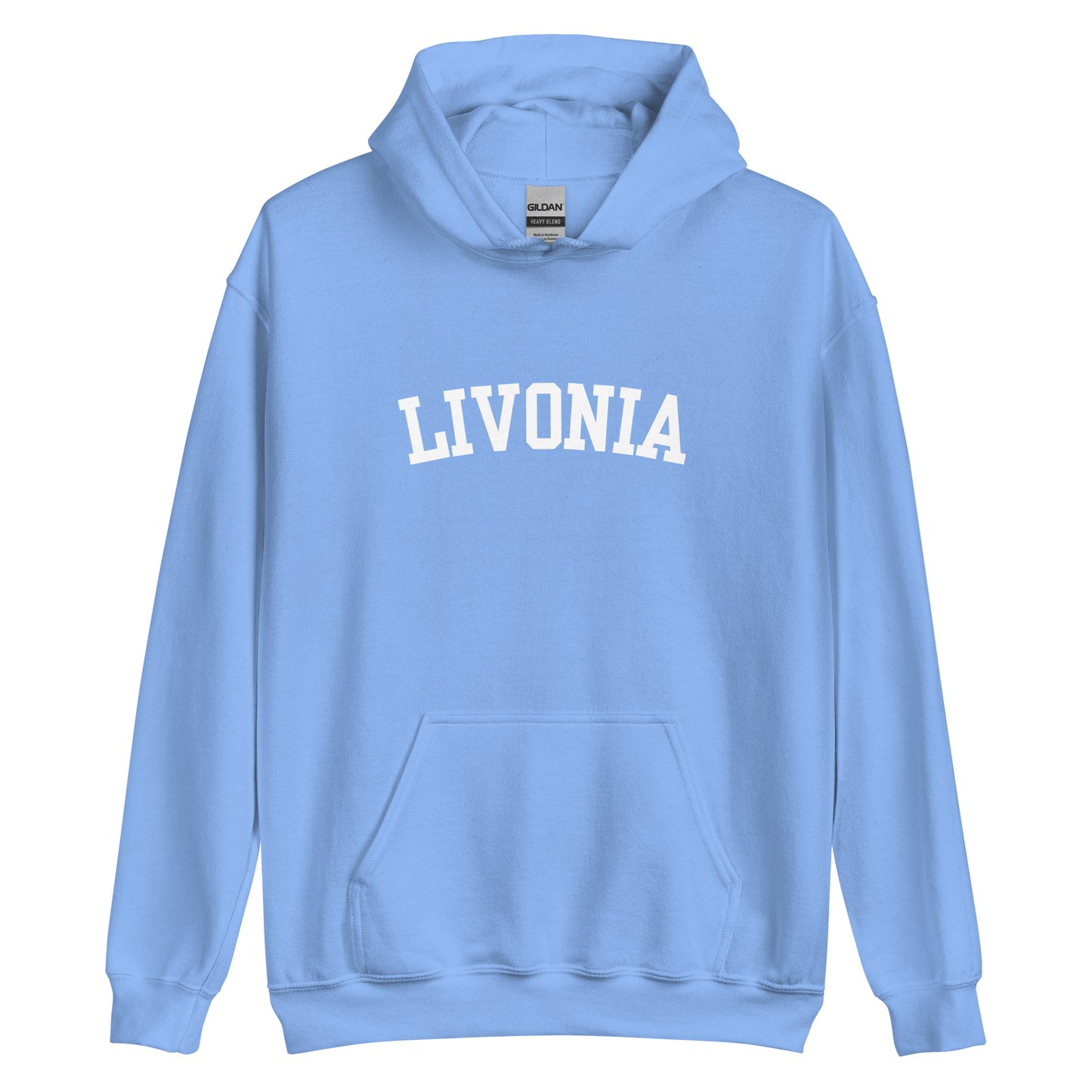 Livonia Michigan Block 2 Unisex Hoodie