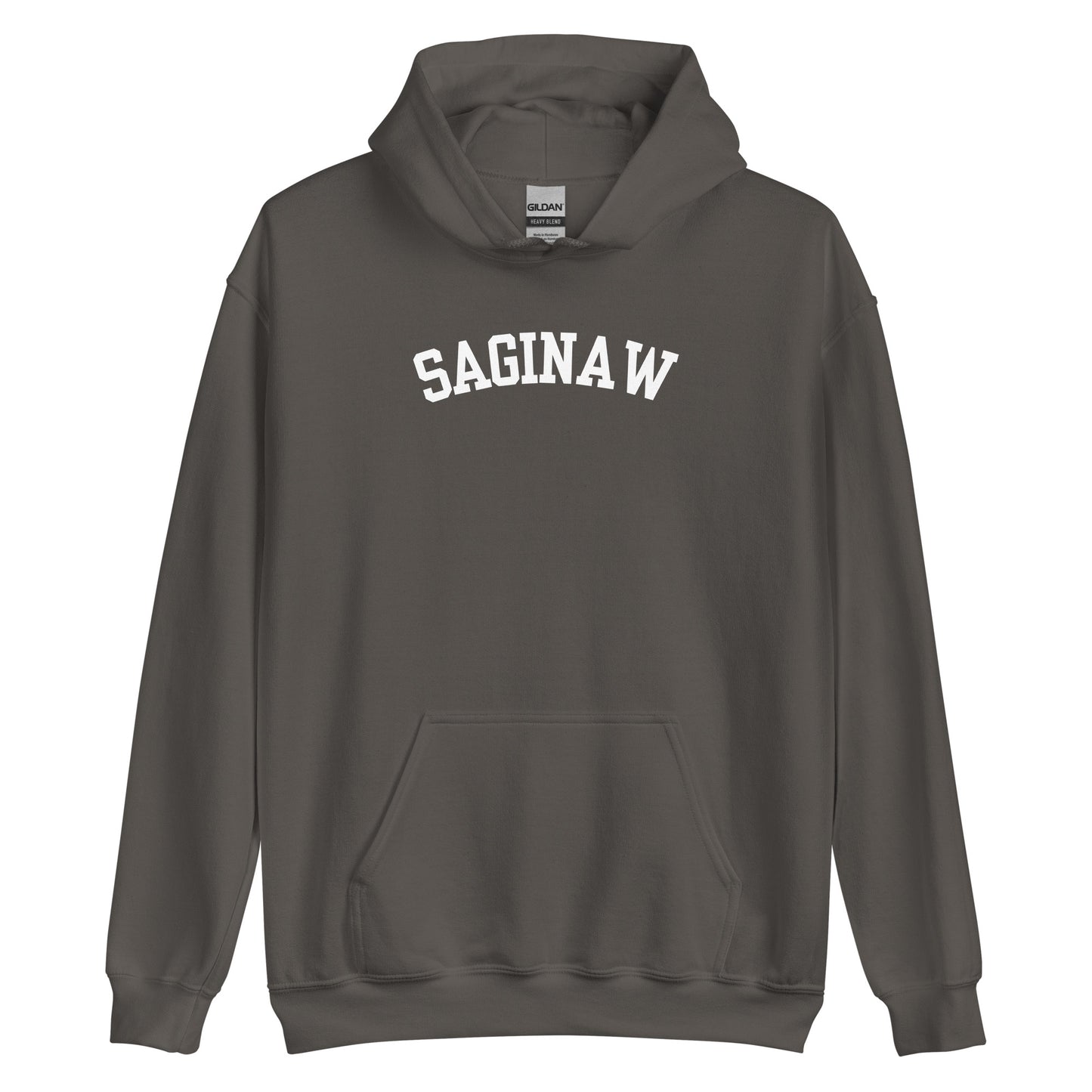 Saginaw Michigan Block Solo Unisex Hoodie
