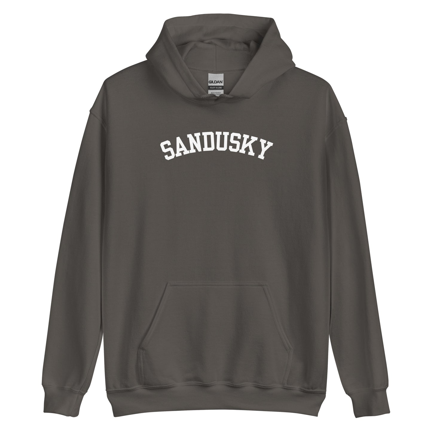 Sandusky Ohio Block Solo Unisex Hoodie