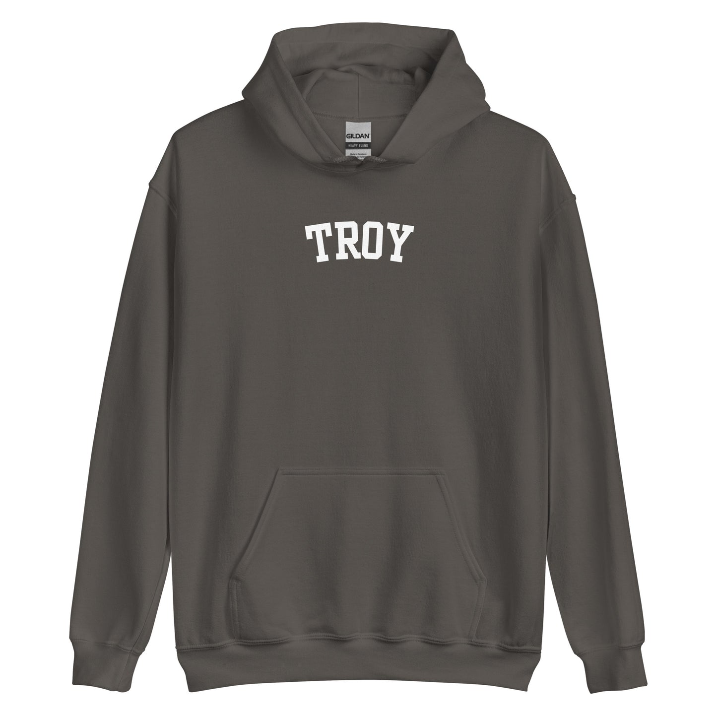 Troy Ohio Block Solo Unisex Hoodie