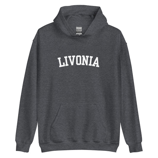 Livonia Michigan Block 2 Unisex Hoodie