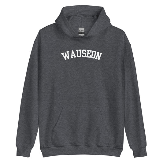 Wauseon Ohio Block Solo Unisex Hoodie