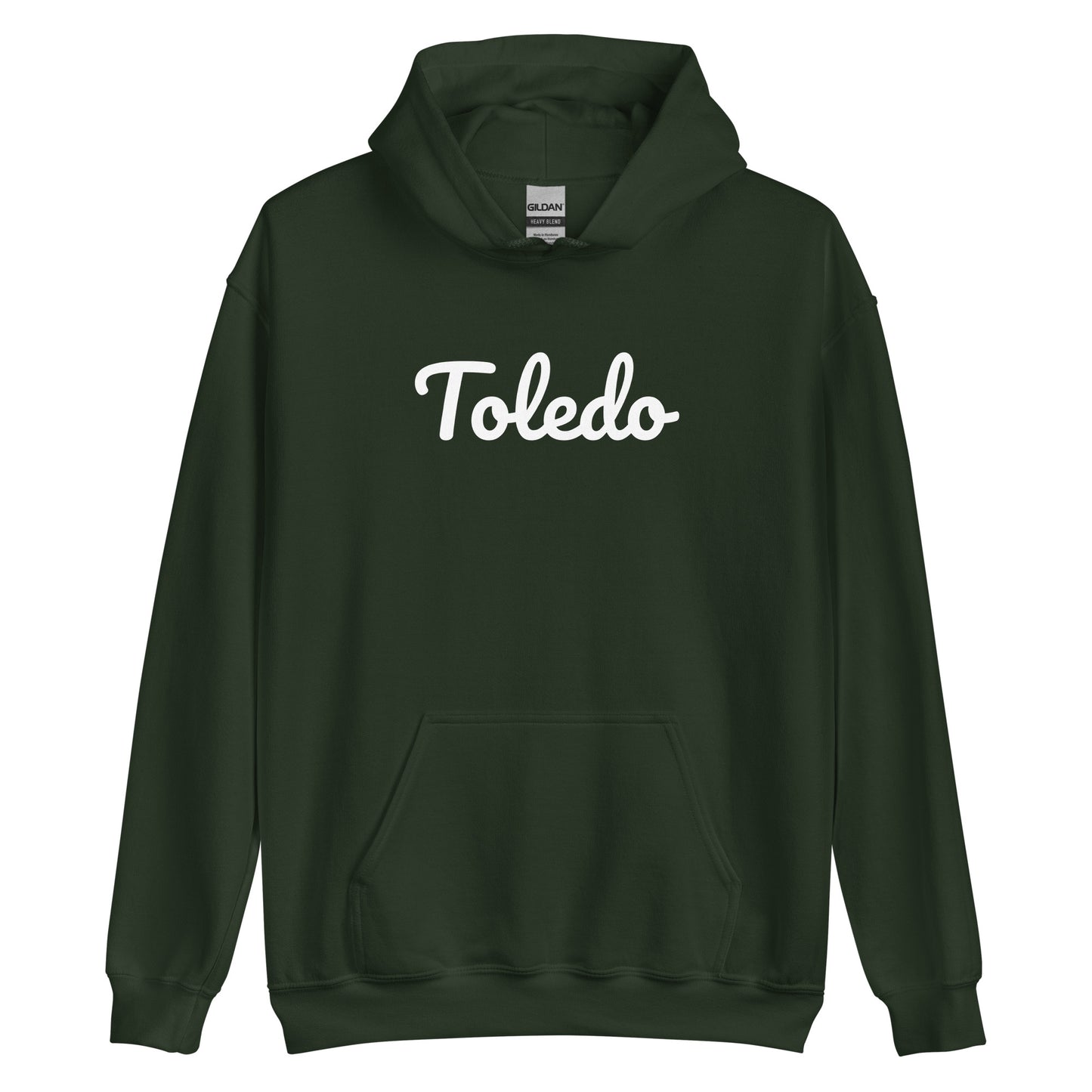 Toledo Ohio Solo Script Unisex Hoodie