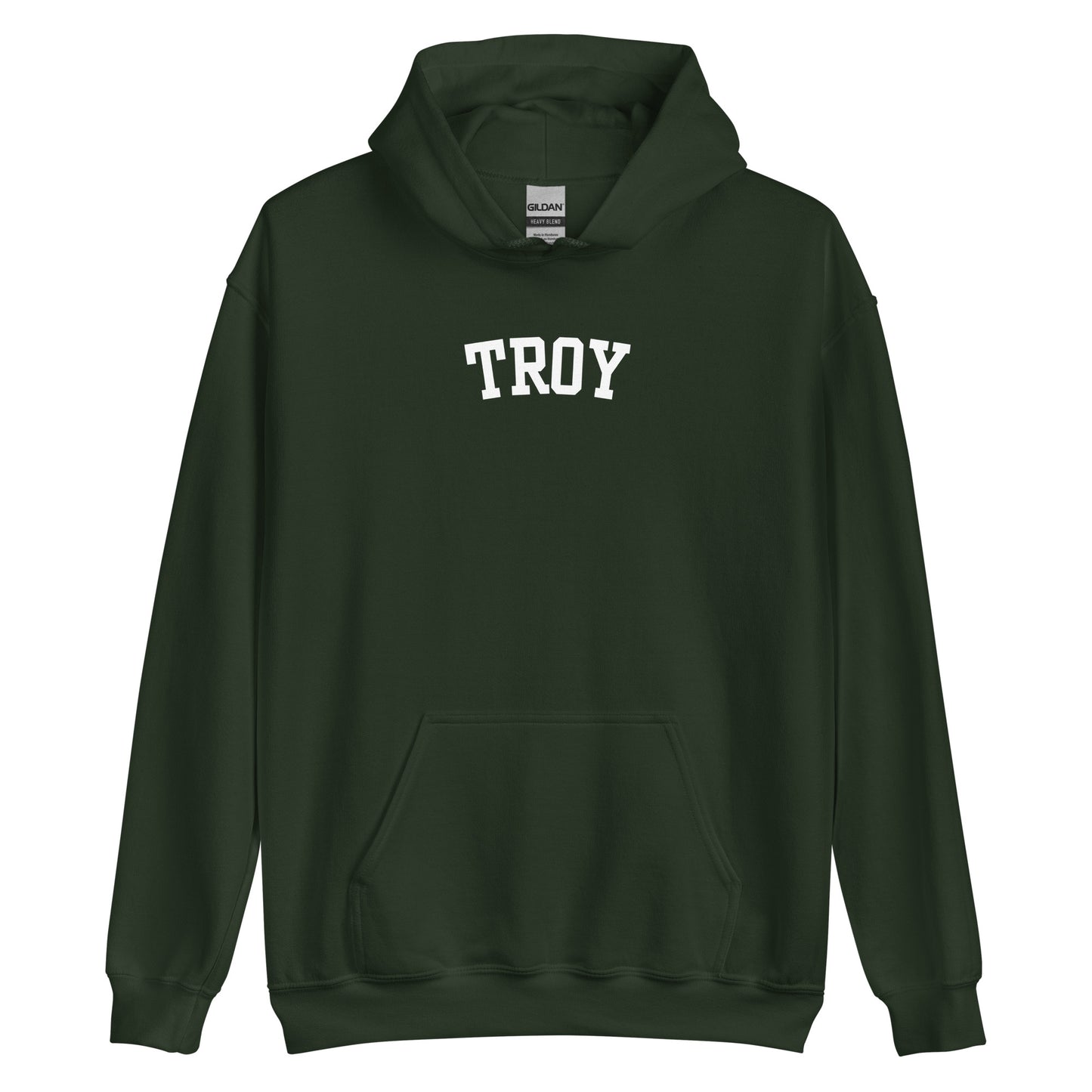 Troy Ohio Block Solo Unisex Hoodie