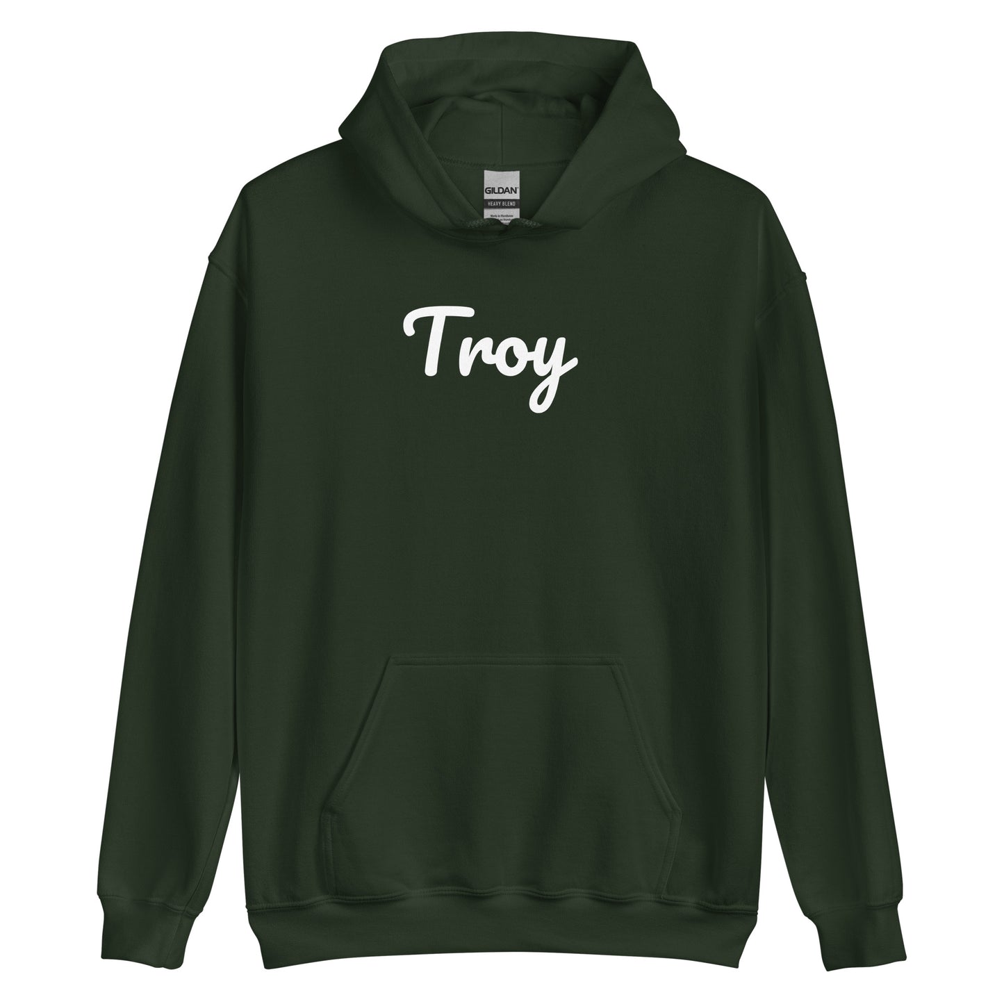 Troy, Michigan Solo Script Unisex Hoodie