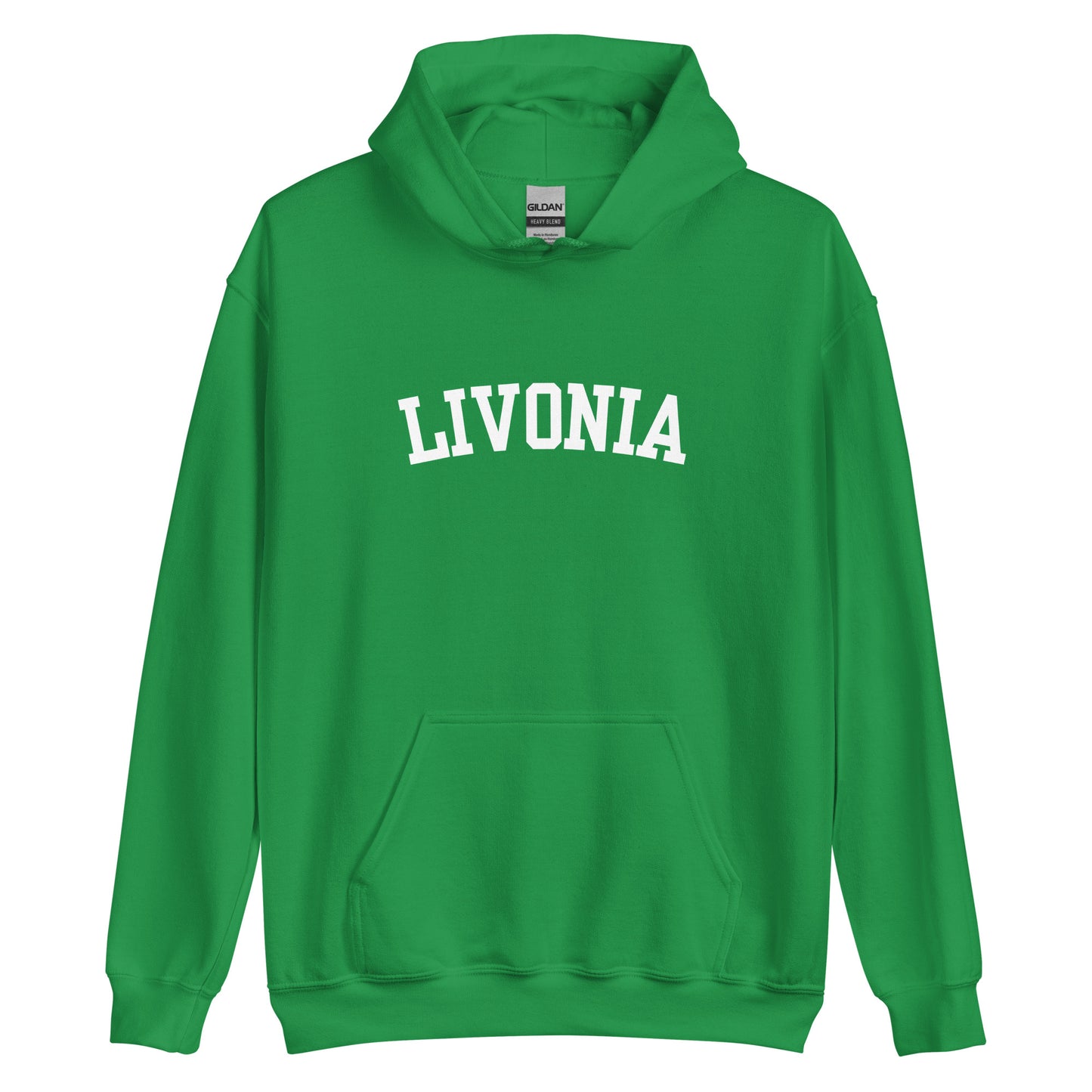Livonia Michigan Block 2 Unisex Hoodie