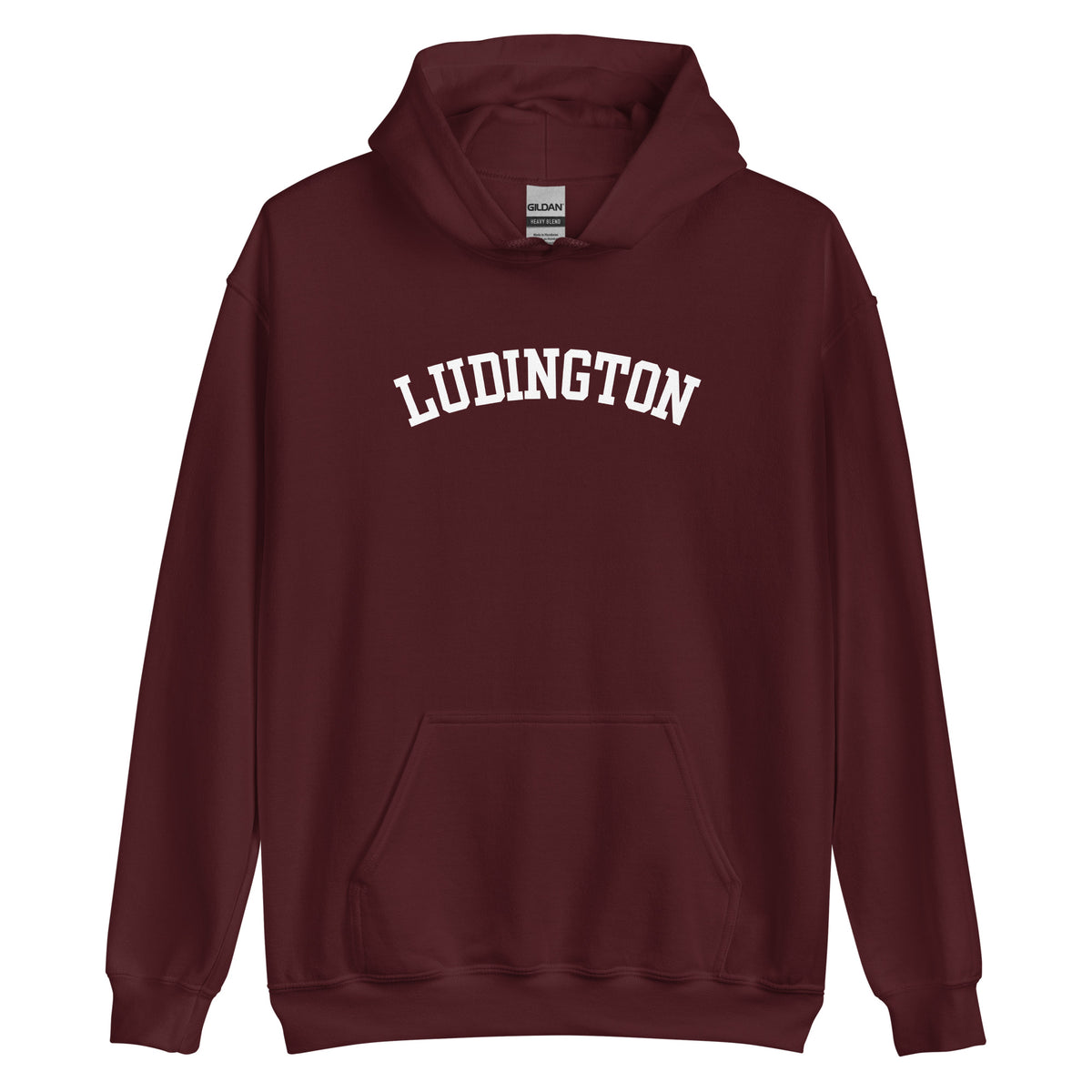 Ludington, Michigan Unisex Hoodie - Block Solo