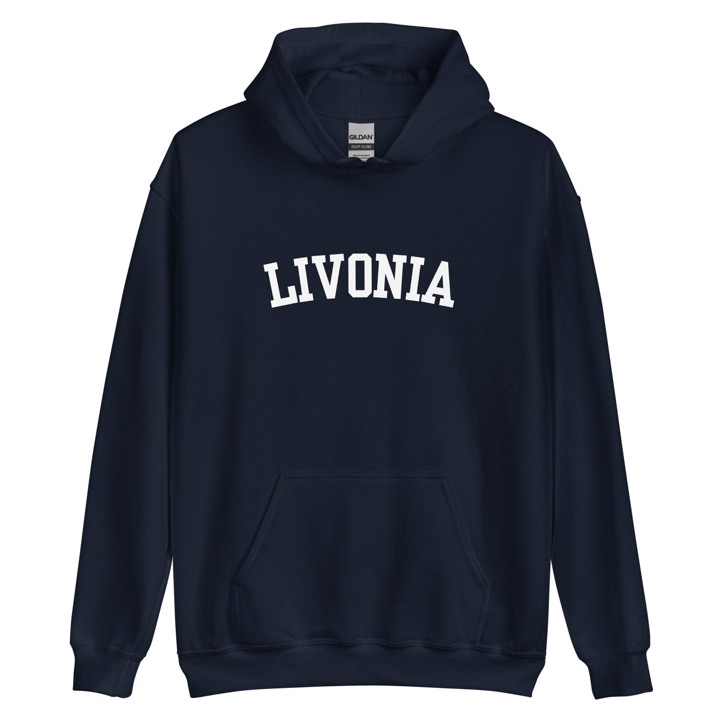 Livonia Michigan Block 2 Unisex Hoodie