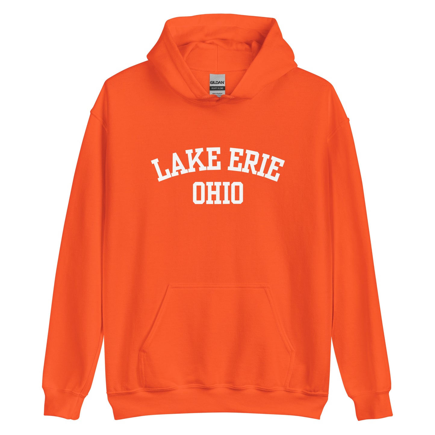 Lake Erie Ohio Block Unisex Hoodie
