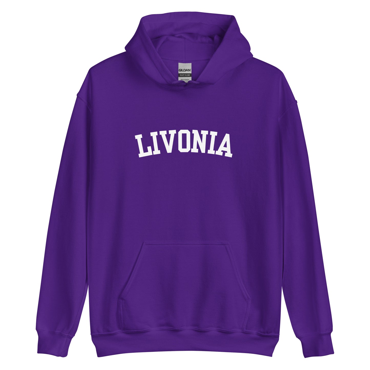 Livonia Michigan Block 2 Unisex Hoodie