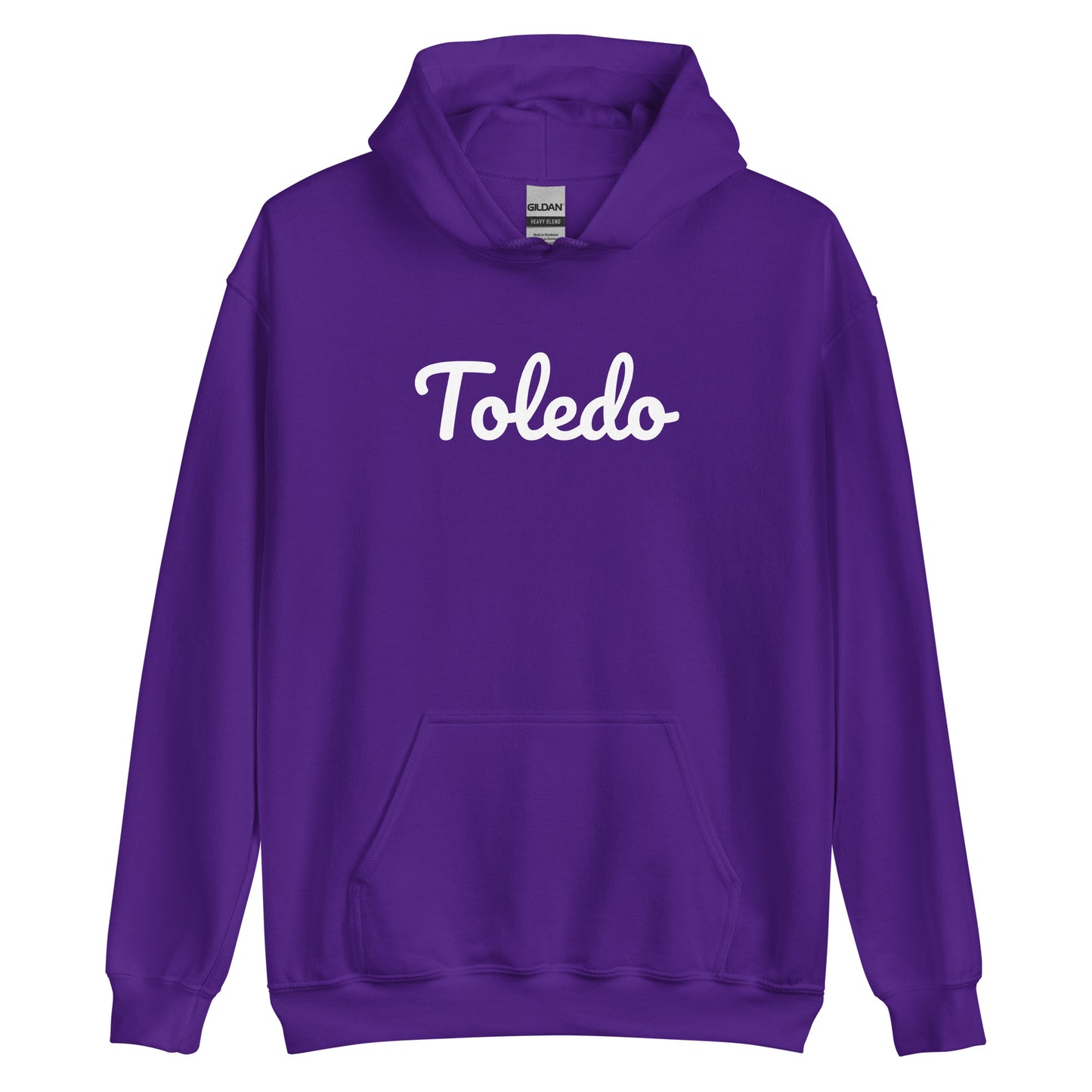Toledo Ohio Solo Script Unisex Hoodie