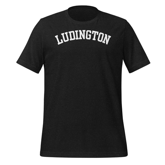 Ludington, Michigan - Block Solo Unisex T-Shirt